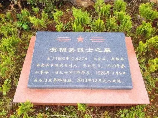 u=4138891557,228310265&fm=253&fmt=auto&app=138&f=JPEG.jpg