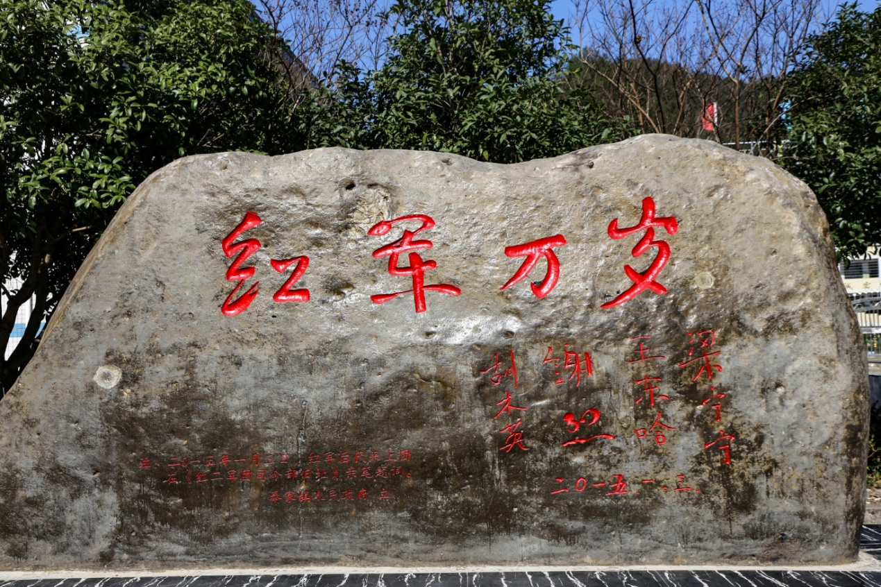 图片8.png