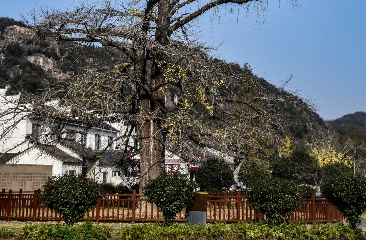 图片7.png 图片7.png